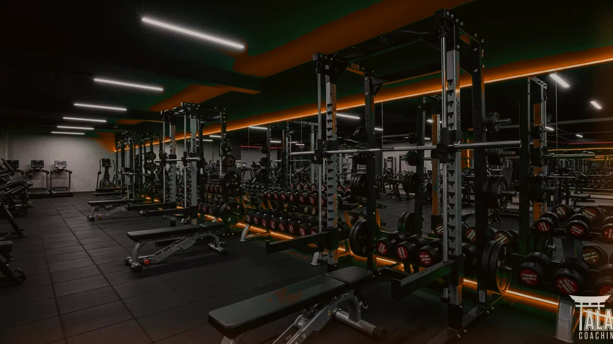 Fitness Nedir? 2026 Kapsamlı Rehber
